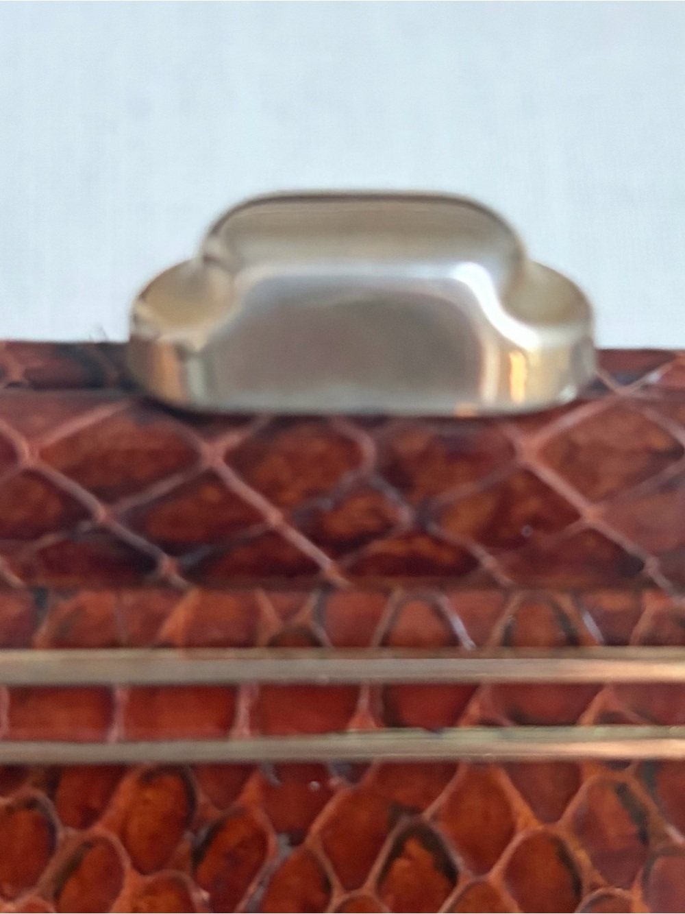 Brown python bag - Picture 11 of 14